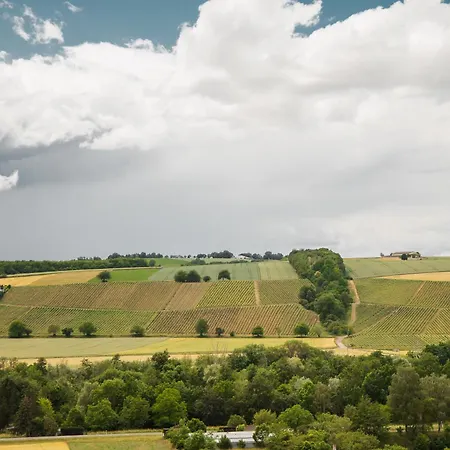 Διαμέρισμα Weingut Kreglinger *