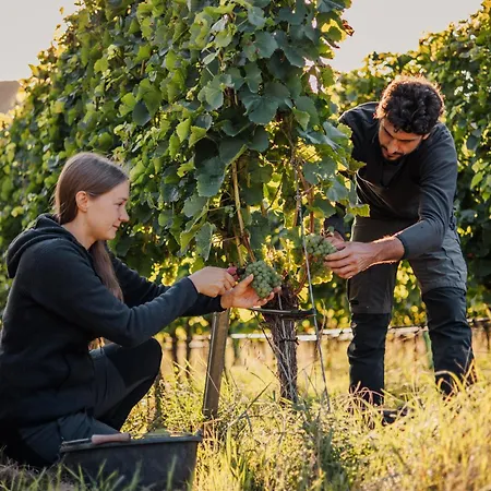 Διαμέρισμα Weingut Kreglinger
