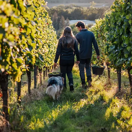 Weingut Kreglinger Segnitz
